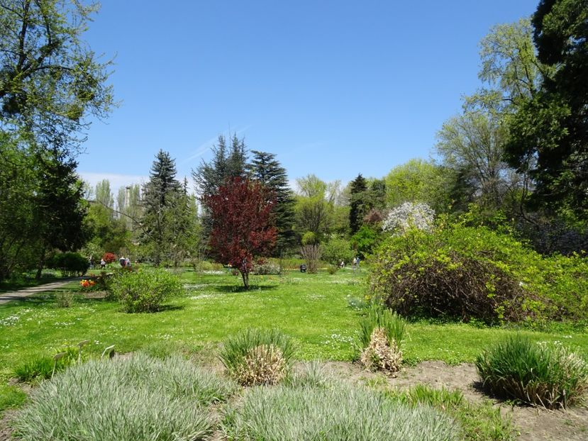 - Gradina Botanica de Florii Bucuresti 2021