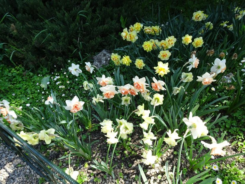  - Gradina Botanica de Florii Bucuresti 2021