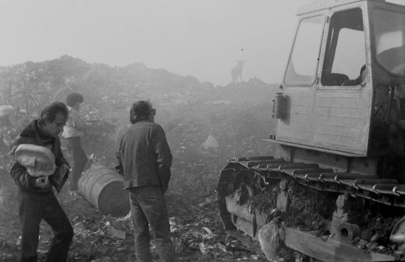 Fructe De Padure - Fructe De Padure 1983