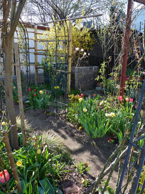  - 2021 - 01 - Primavara