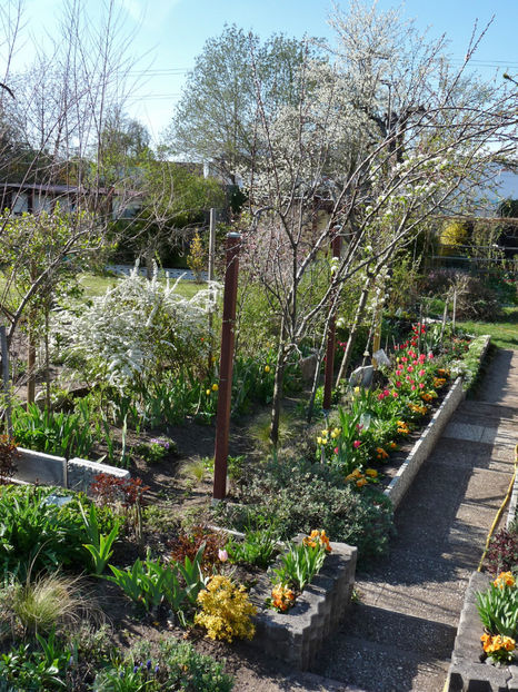  - 2021 - 01 - Primavara