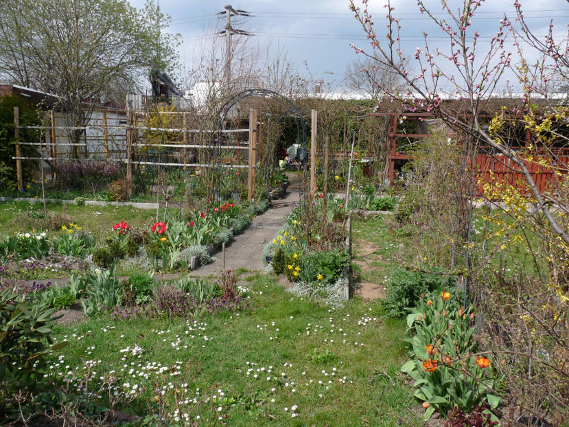  - 2021 - 01 - Primavara