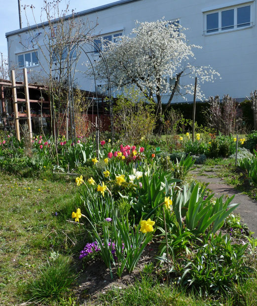  - 2021 - 01 - Primavara