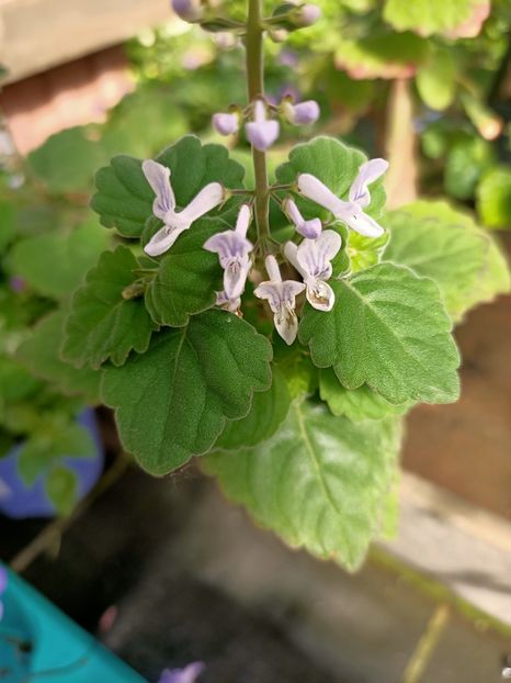 26.04.2021 - A -Magazin