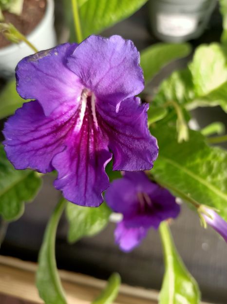 26.04.2021 - A -Magazin