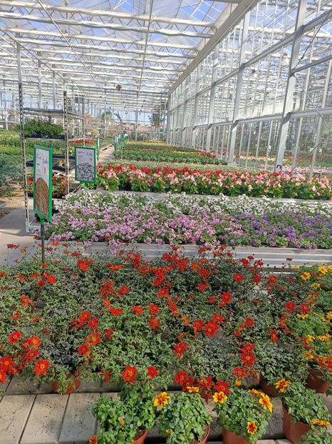 26.04. 2021 - A -Magazin