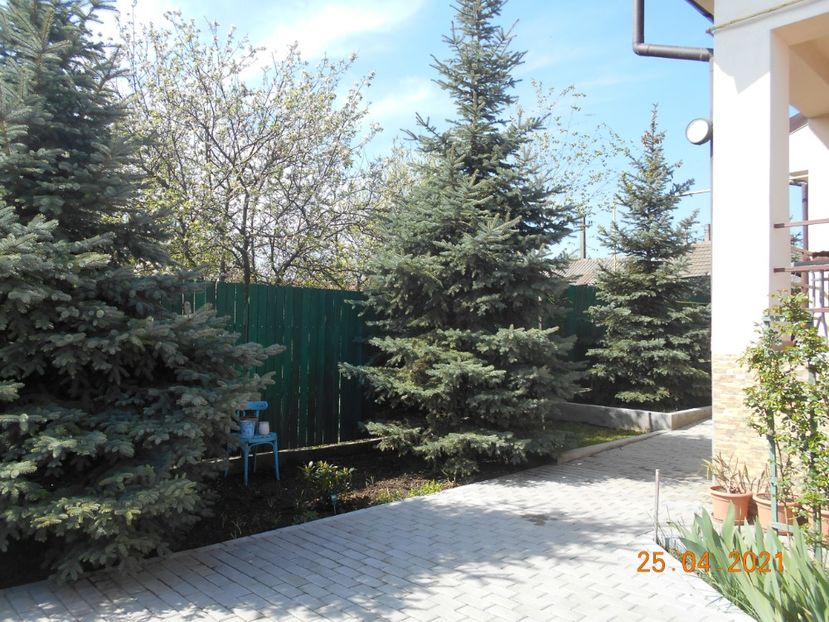  - 02 Primavara 2021