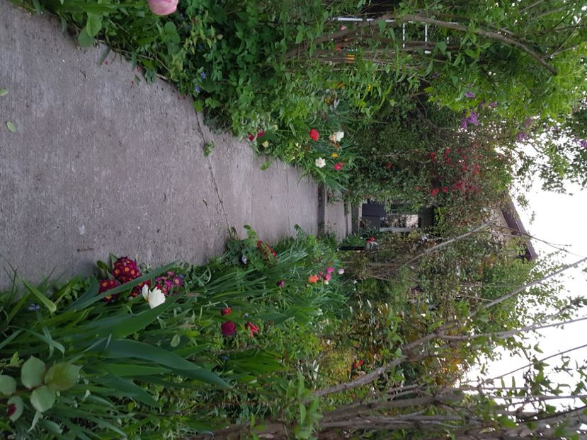  - Martie 2021 aprilie 22