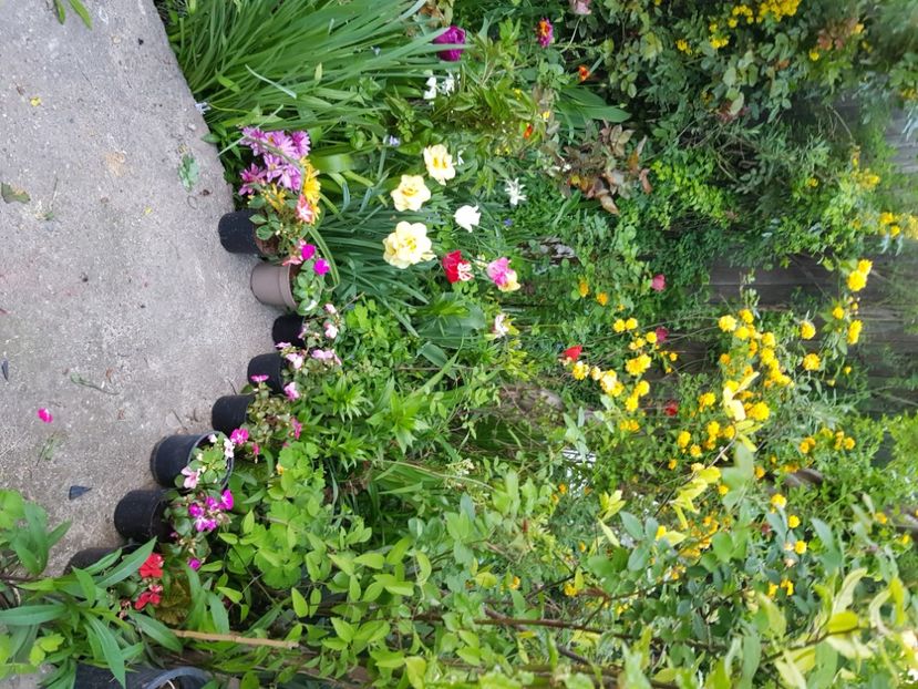  - Martie 2021 aprilie 22