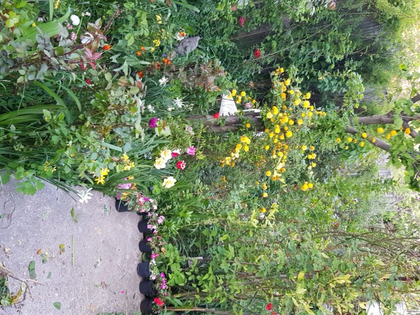  - Martie 2021 aprilie 22