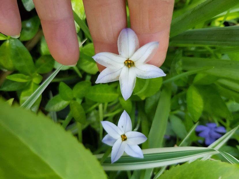  - Martie 2021 aprilie 22