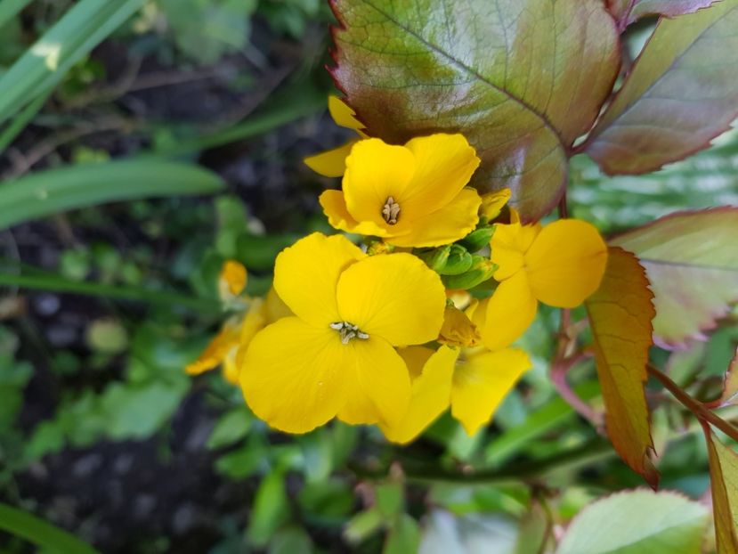  - Martie 2021 aprilie 22