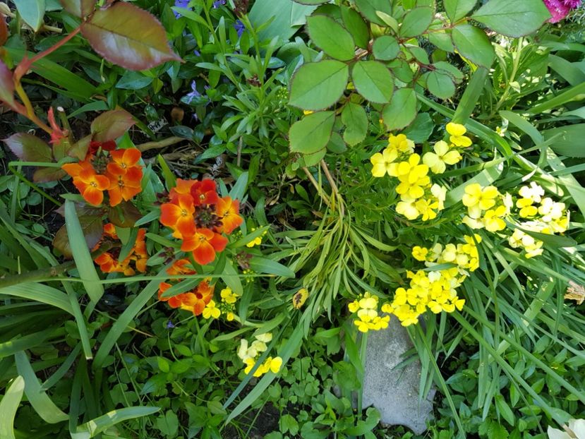  - Martie 2021 aprilie 22