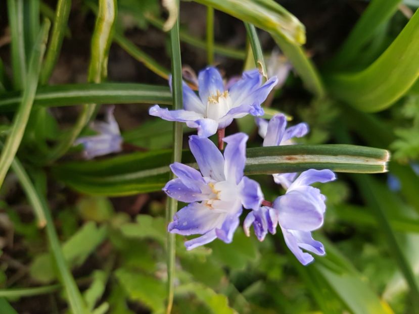  - Martie 2021 aprilie 22