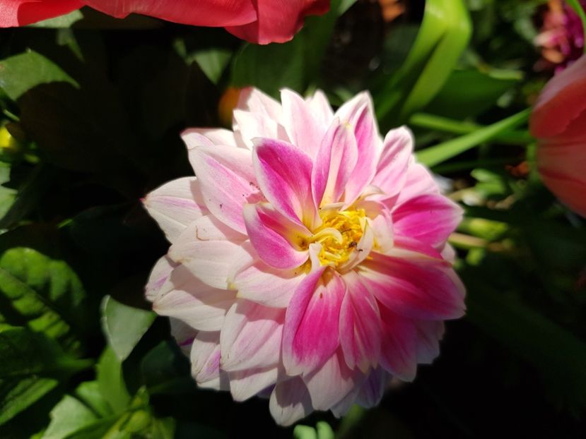  - Martie 2021 aprilie 22