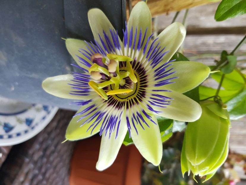  - Martie 2021 aprilie 22