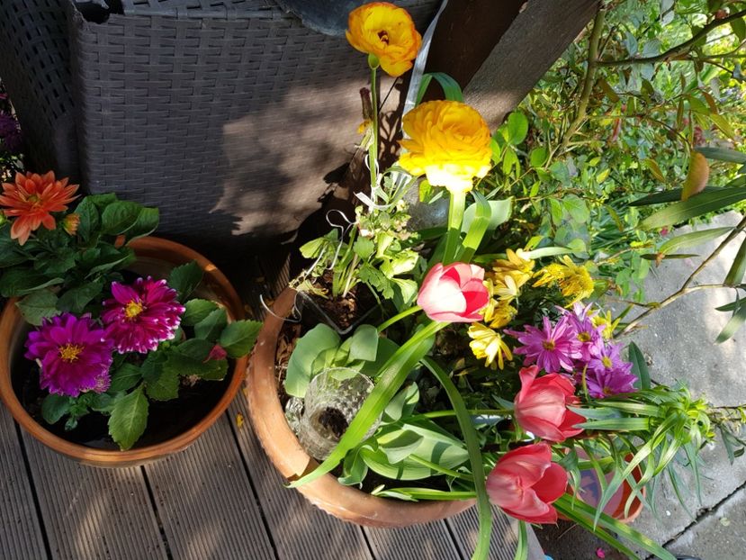  - Martie 2021 aprilie 22