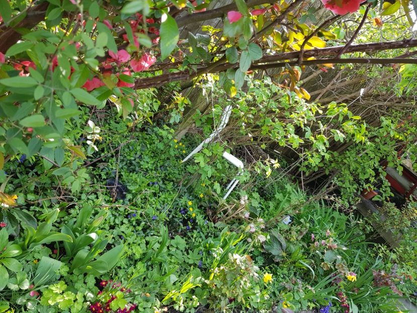  - Martie 2021 aprilie 22