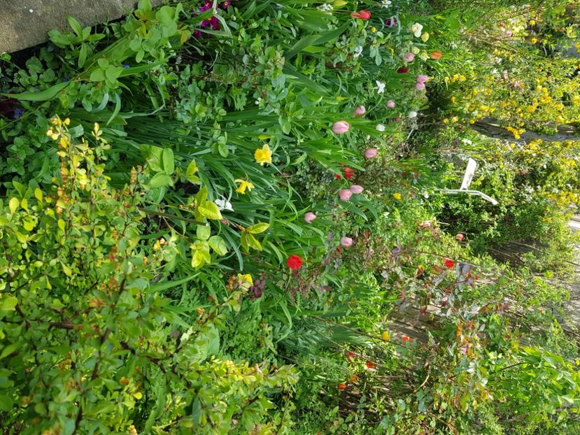  - Martie 2021 aprilie 22