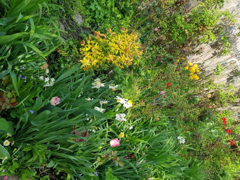  - Martie 2021 aprilie 22