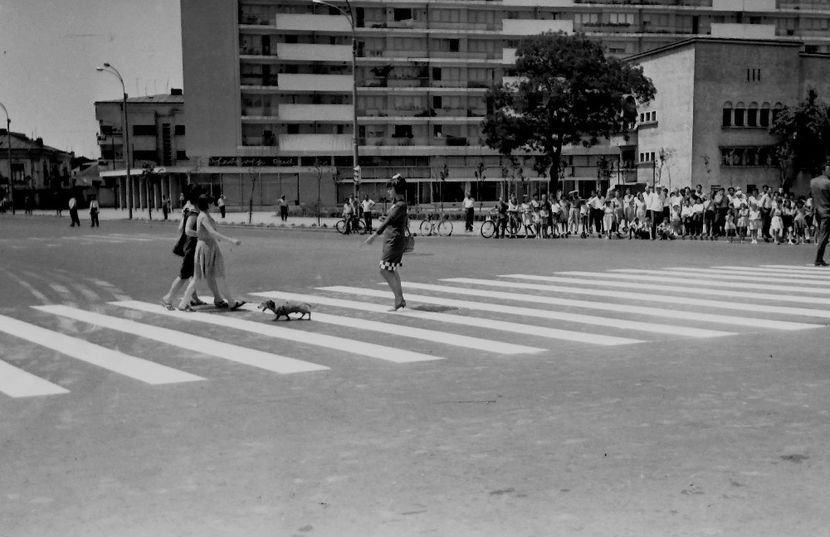 Un Film Cu O Fata Fermecatoare - Un Film Cu O Fata Fermecatoare 1966