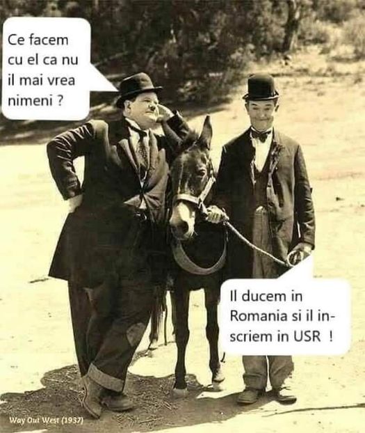  - Divertisment 3