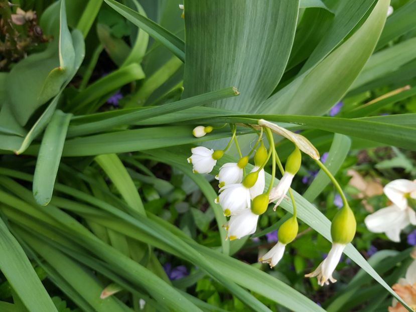  - Martie 2021 aprilie 22