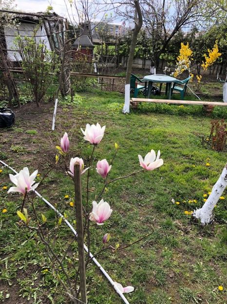 WhatsApp Image 2021-04-26 at 21.57.25 (1) - 01 Roman 26 04 2021