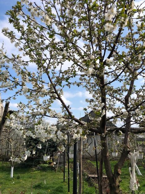 WhatsApp Image 2021-04-26 at 21.57.25 (4) - 01 Roman 26 04 2021