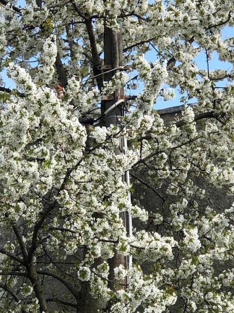 WhatsApp Image 2021-04-26 at 21.57.25 (7) - 01 Roman 26 04 2021