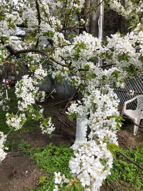 WhatsApp Image 2021-04-26 at 21.57.25 (11) - 01 Roman 26 04 2021