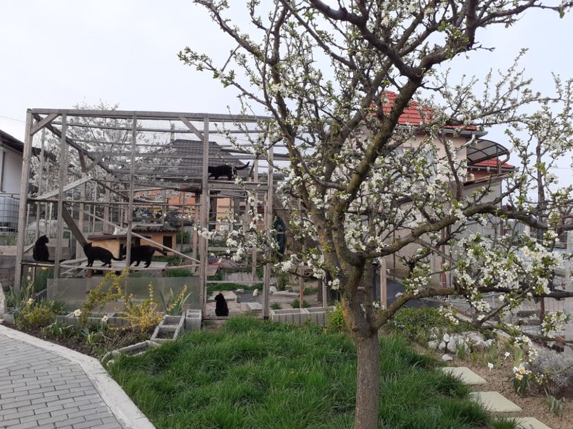  - Gradina 2021