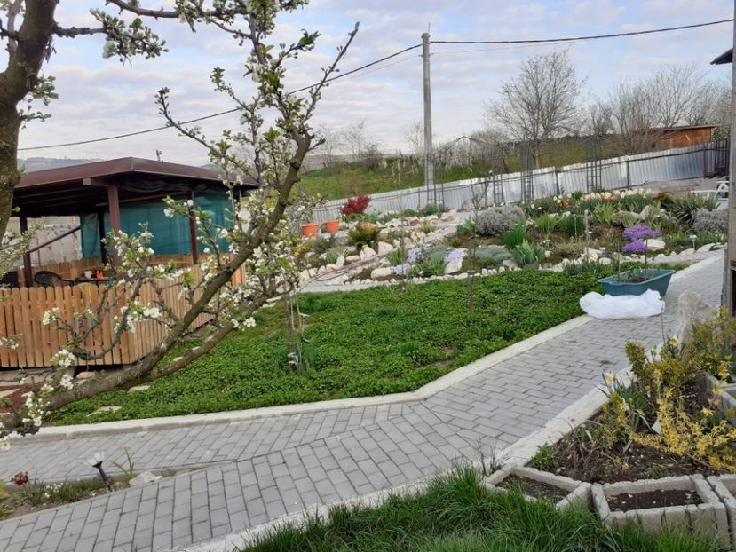  - Gradina 2021