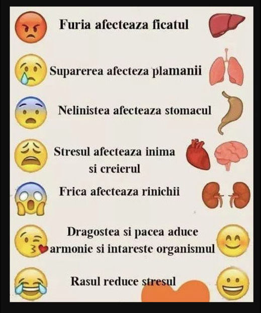  - Sfaturi Utile