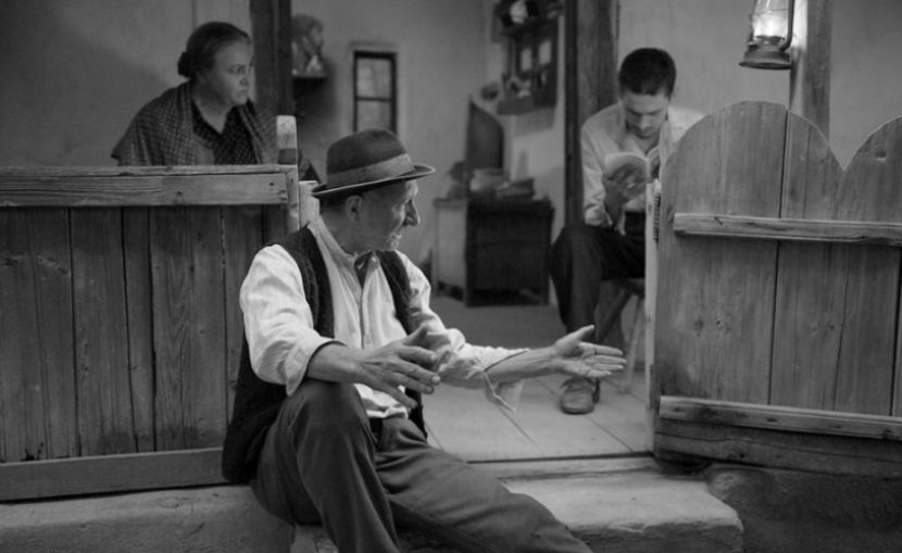 Morometii - Morometii 2018