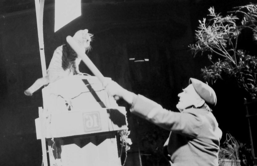 Doi Vecini - Doi Vecini 1959