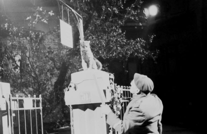 Doi Vecini - Doi Vecini 1959