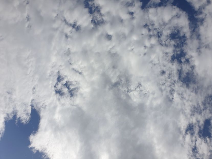  - - O - Fotografii x