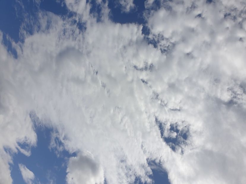  - - O - Fotografii x