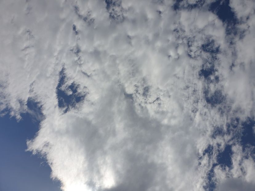  - - O - Fotografii x