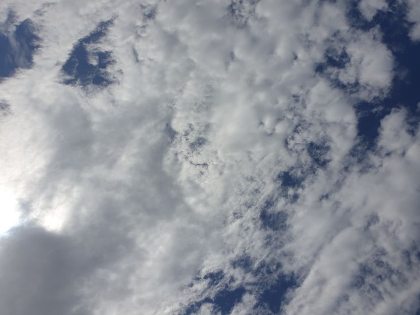  - - O - Fotografii x