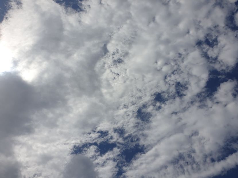  - - O - Fotografii x