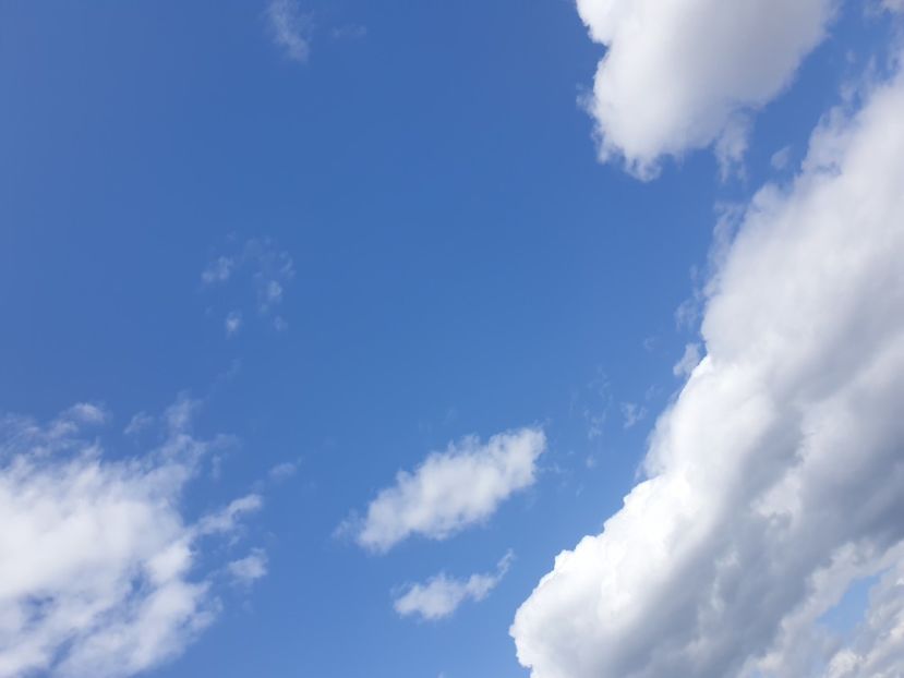  - - O - Fotografii x