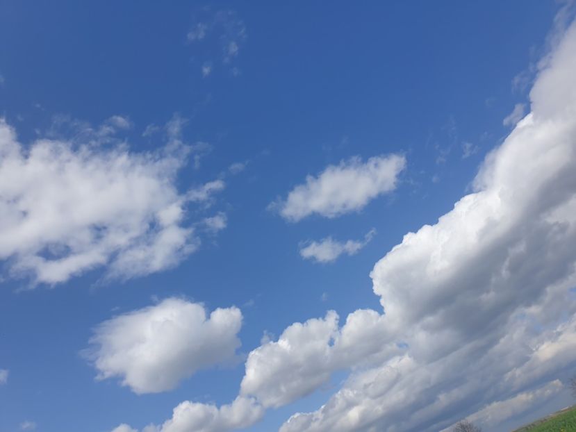  - - O - Fotografii x