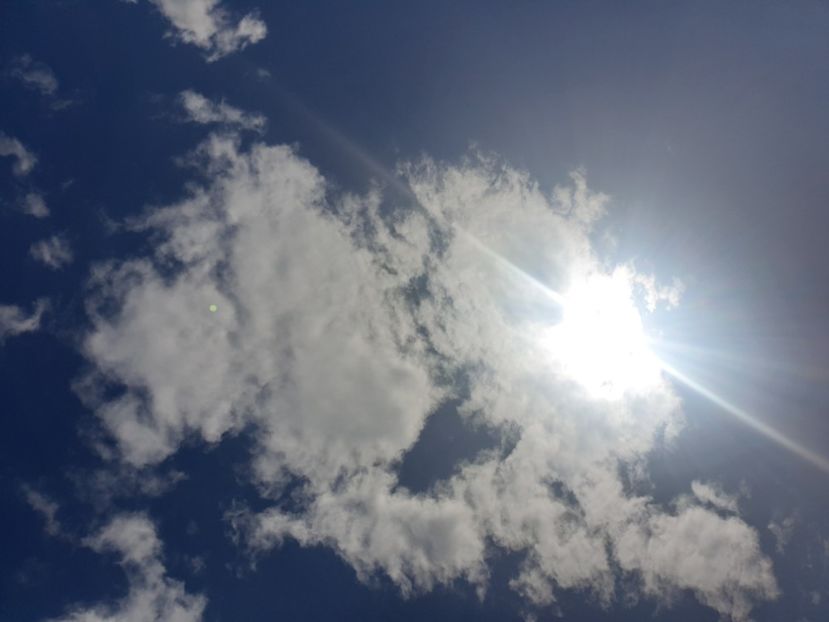  - - O - Fotografii x