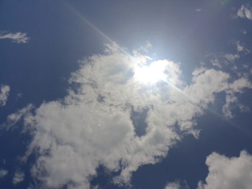  - - O - Fotografii x