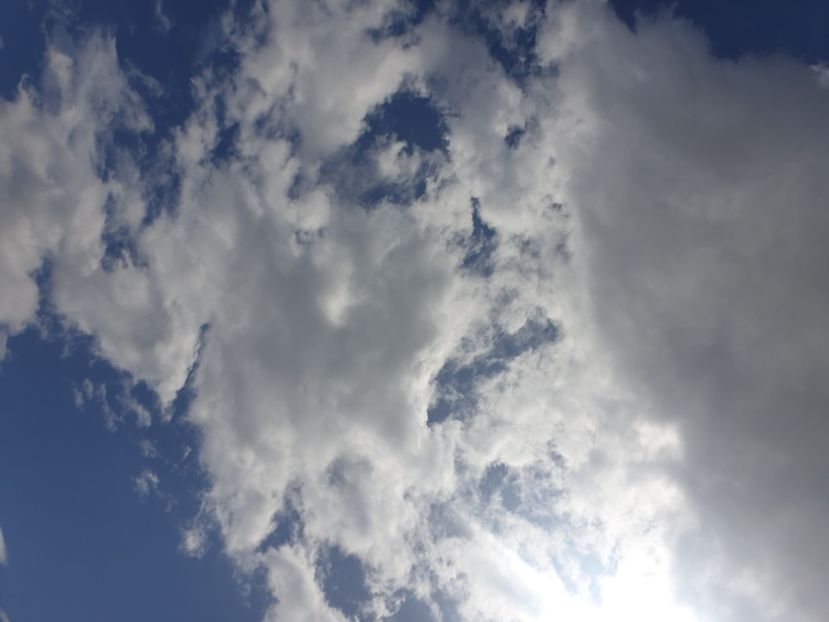  - - O - Fotografii x