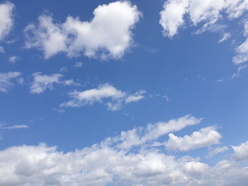  - - O - Fotografii x