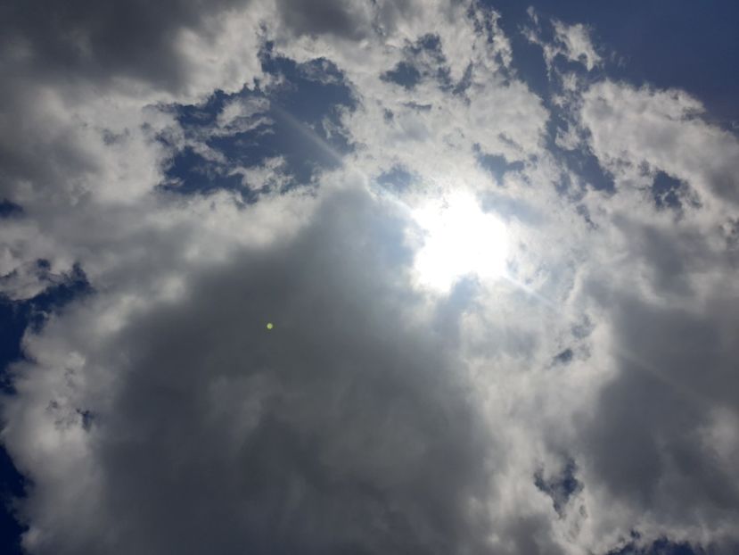  - - O - Fotografii x