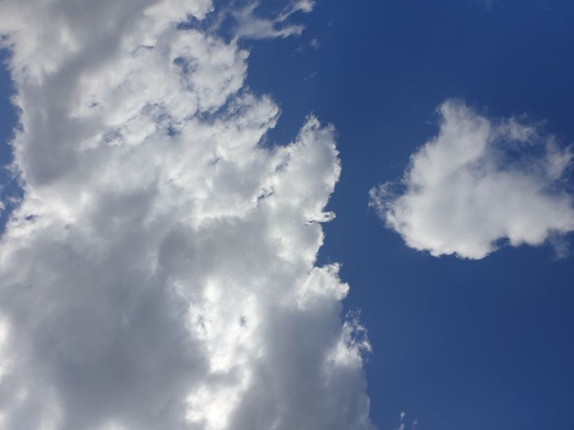  - - O - Fotografii x